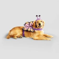 Halloween Full Body LED Butterfly Cat and Dog Costume - Hyde & EEK! Boutique™ -Hyde & EEK! Boutique Shop GUEST 034aba42 c65a 472d 8dbe 5c8509c04883