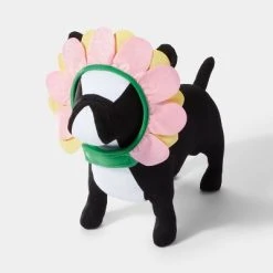 Hyde & EEK! Boutique Halloween Flower Dog Headwear - L/XL - Hyde & EEK! Boutique™ -Hyde & EEK! Boutique Shop GUEST 1b48c7d9 5986 4391 ba66 18c0dee2333d