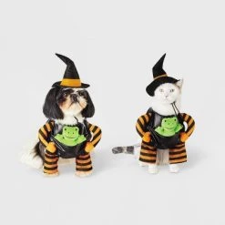 Witch with Toy Frog Dog and Cat Costume - Hyde & EEK! Boutique™ -Hyde & EEK! Boutique Shop GUEST 1efad272 601e 4297 96d3 ba5f4ee06e2d 1