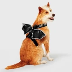 Reflective Halloween Bat Wings Rider Dog and Cat Costume - Hyde & EEK! Boutique™ -Hyde & EEK! Boutique Shop GUEST 2152008a 90b7 409c 879d c15f0110c5de
