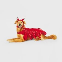 Lobster Dog and Cat Costume - Hyde & EEK! Boutique™ -Hyde & EEK! Boutique Shop GUEST 293e419f b553 4351 9e2c aac1e754b632 1