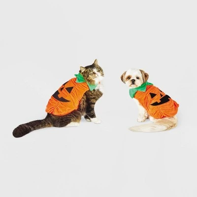 Halloween Plush Pumpkin Dog and Cat Costume - Hyde & EEK! Boutique™ 5 Halloween Plush Pumpkin Dog and Cat Costume - Hyde & EEK! Boutique™ - Image 5
