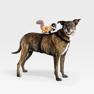 Rider Wings Halloween Superhero Squirrel Cat and Dog Costume - Hyde & EEK! Boutique™ 7 Rider Wings Halloween Superhero Squirrel Cat and Dog Costume - Hyde & EEK! Boutique™ - Image 7