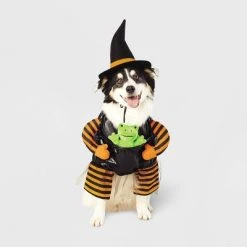 Witch with Toy Frog Dog and Cat Costume - Hyde & EEK! Boutique™ -Hyde & EEK! Boutique Shop GUEST 3f06d9a9 2c9a 4995 97d3 92d0aac75712 2