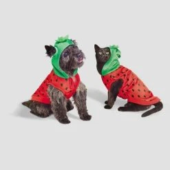 Basic Halloween Strawberry Cat and Dog Hoodie - Hyde & EEK! Boutique™ -Hyde & EEK! Boutique Shop GUEST 602f238f b5de 4575 804c cedc95b8509e 1