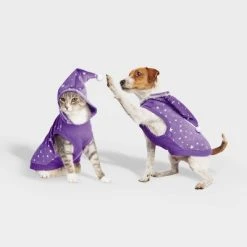 Basic Halloween Velour Wizard Cat and Dog Hoodie - Hyde & EEK! Boutique™ 15 Basic Halloween Velour Wizard Cat and Dog Hoodie - Hyde & EEK! Boutique™ -Hyde & EEK! Boutique Shop GUEST 6f209f4a 3013 45db 97e7 e636650a8522 1