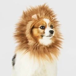 Lion Ruff Headwear Dog and Cat Costume - Brown - Hyde & EEK! Boutique™ -Hyde & EEK! Boutique Shop GUEST 767beda1 d0dc 4586 9610 376f2e31f6be