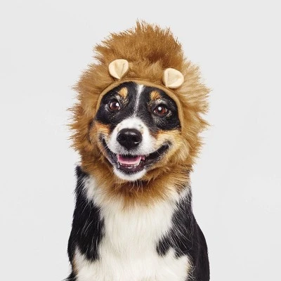 Halloween Lion Cat and Dog Headwear - Hyde & EEK! Boutique™ 4 Halloween Lion Cat and Dog Headwear - Hyde & EEK! Boutique™ - Image 4
