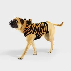 Tiger Halloween Cat and Dog Hoodie - Hyde & EEK! Boutique™ 19 Tiger Halloween Cat and Dog Hoodie - Hyde & EEK! Boutique™ -Hyde & EEK! Boutique Shop GUEST 9cf0faa3 50d0 426d b092 1e97106b9c4d 3