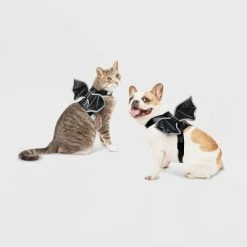 Reflective Halloween Bat Wings Rider Dog and Cat Costume - Hyde & EEK! Boutique™ -Hyde & EEK! Boutique Shop GUEST a176d6d9 b4a4 4763 ad06 58a0fb5cfa87