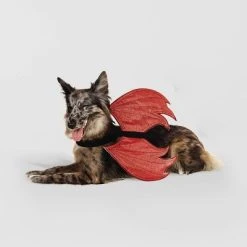 Rider Wings Halloween Red Devil Cat and Dog Costume - Hyde & EEK! Boutique™ -Hyde & EEK! Boutique Shop GUEST d5d516f3 0947 42fe bea5 e99e854c9f30